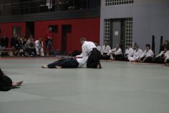 IMG_6317