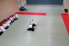 aikibudo_2015-03_GR_HK-1