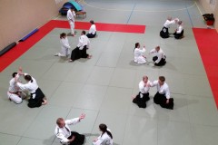 aikibudo_2015-03_GR_HK-3