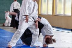 Aikido-Sommer-Lehrgang