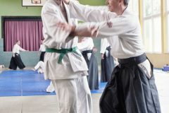 Aikido-Sommer-Lehrgang