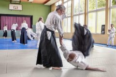 Aikido-Sommer-Lehrgang