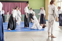 Aikido-Sommer-Lehrgang