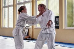 Aikido-Sommer-Lehrgang