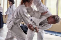 Aikido-Sommer-Lehrgang