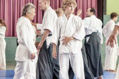 Aikido-Sommer-Lehrgang