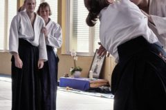 Aikido-Sommer-Lehrgang