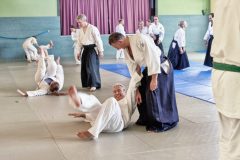 Aikido-Sommer-Lehrgang