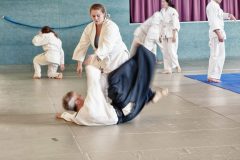 Aikido-Sommer-Lehrgang