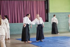 Aikido-Sommer-Lehrgang