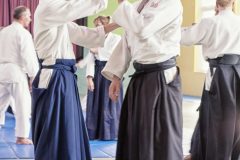 Aikido-Sommer-Lehrgang