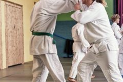 Aikido-Sommer-Lehrgang