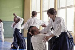 Aikido-Sommer-Lehrgang