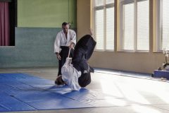 Aikido-Sommer-Lehrgang