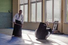 Aikido-Sommer-Lehrgang