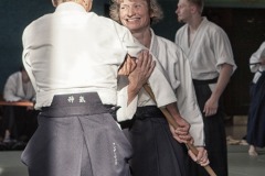 Aikido-Sommer-Lehrgang