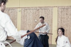 Aikido-Sommer-Lehrgang