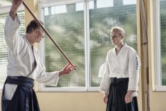 Aikido-Sommer-Lehrgang