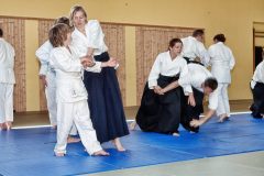 Aikido-Sommer-Lehrgang