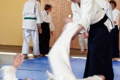 Aikido-Sommer-Lehrgang