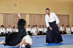 Aikido-Sommer-Lehrgang