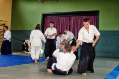 Aikido-Sommer-Lehrgang