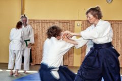 Aikido-Sommer-Lehrgang