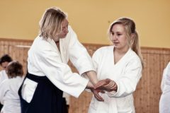 Aikido-Sommer-Lehrgang