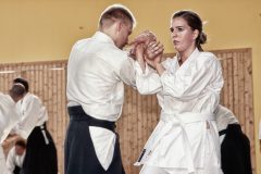 Aikido-Sommer-Lehrgang