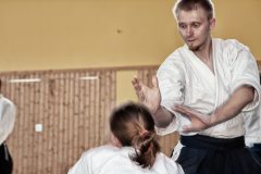 Aikido-Sommer-Lehrgang