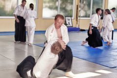 Aikido-Sommer-Lehrgang