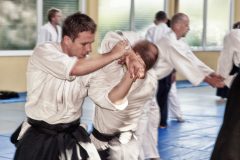 Aikido-Sommer-Lehrgang