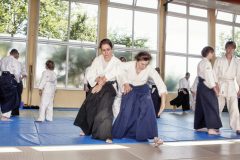 Aikido-Sommer-Lehrgang