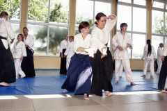 Aikido-Sommer-Lehrgang