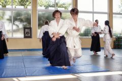 Aikido-Sommer-Lehrgang