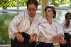 Aikido-Sommer-Lehrgang