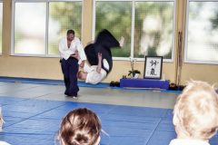 Aikido-Sommer-Lehrgang