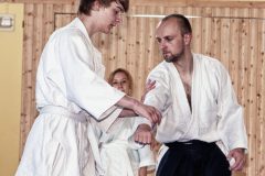 Aikido-Sommer-Lehrgang