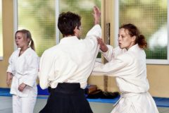 Aikido-Sommer-Lehrgang