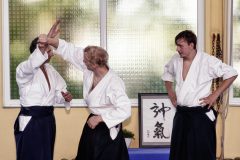 Aikido-Sommer-Lehrgang