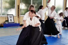 Aikido-Sommer-Lehrgang