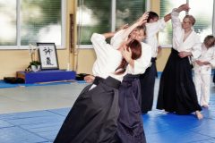 Aikido-Sommer-Lehrgang