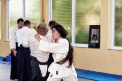 Aikido-Sommer-Lehrgang