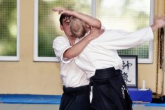 Aikido-Sommer-Lehrgang