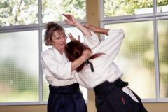 Aikido-Sommer-Lehrgang