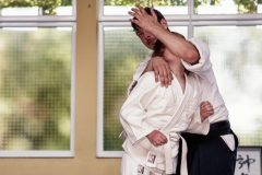 Aikido-Sommer-Lehrgang