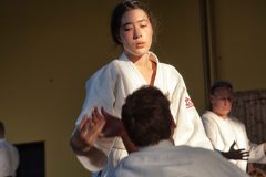 Aikido-Sommer-Lehrgang