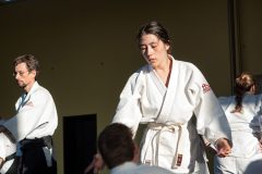 Aikido-Sommer-Lehrgang