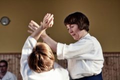 Aikido-Sommer-Lehrgang