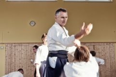 Aikido-Sommer-Lehrgang